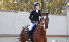 JEALOUSVUE日本成熟IPHONE69